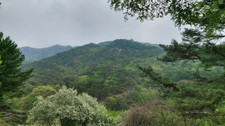 (주)하이얀 이미지