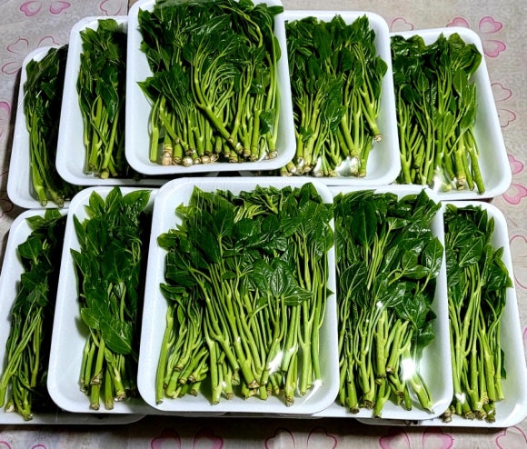 순로컬푸드 이미지
