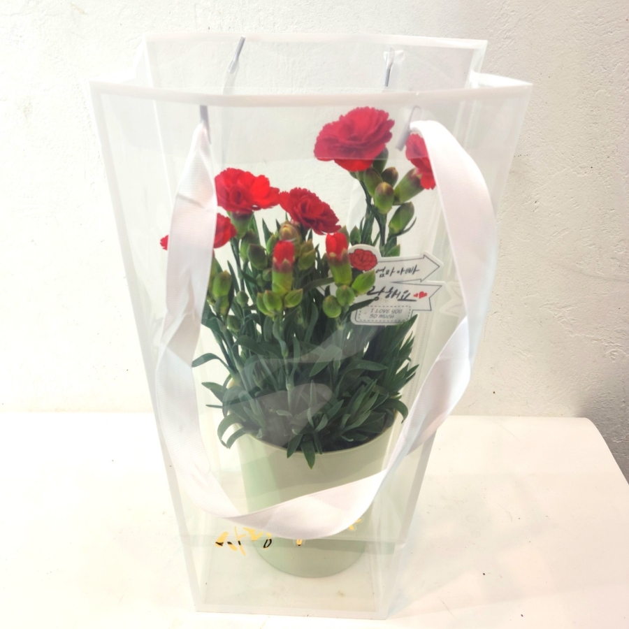 쉐마플라워 이미지