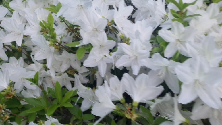 용정한의원 이미지