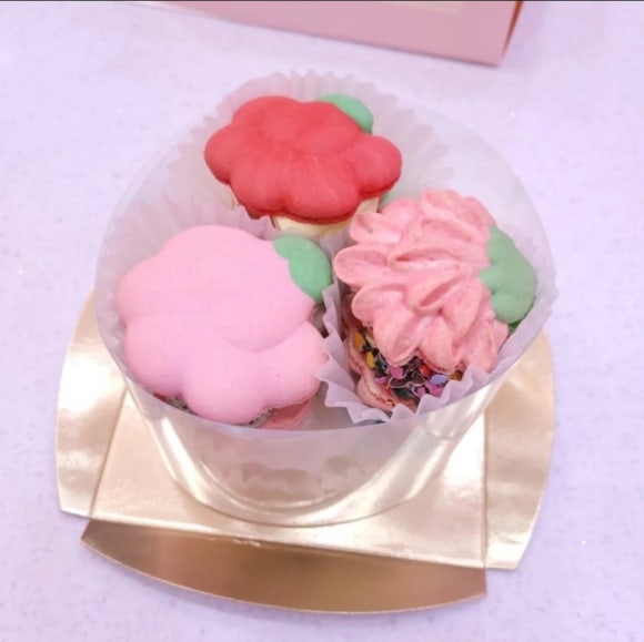 카푸롱 이미지