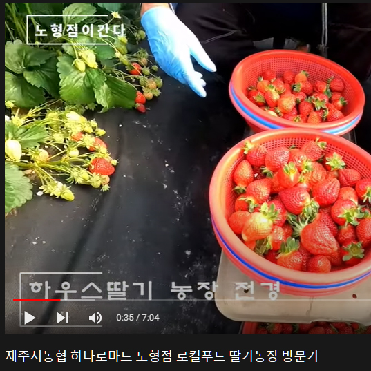 제주시농협하나로마트노형점 이미지