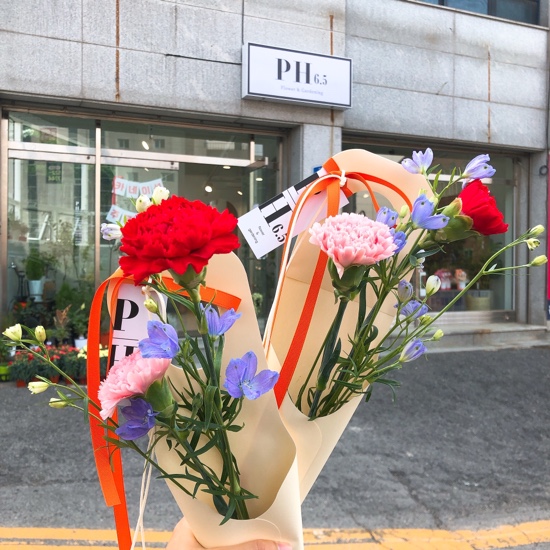 피에이치6.5 이미지