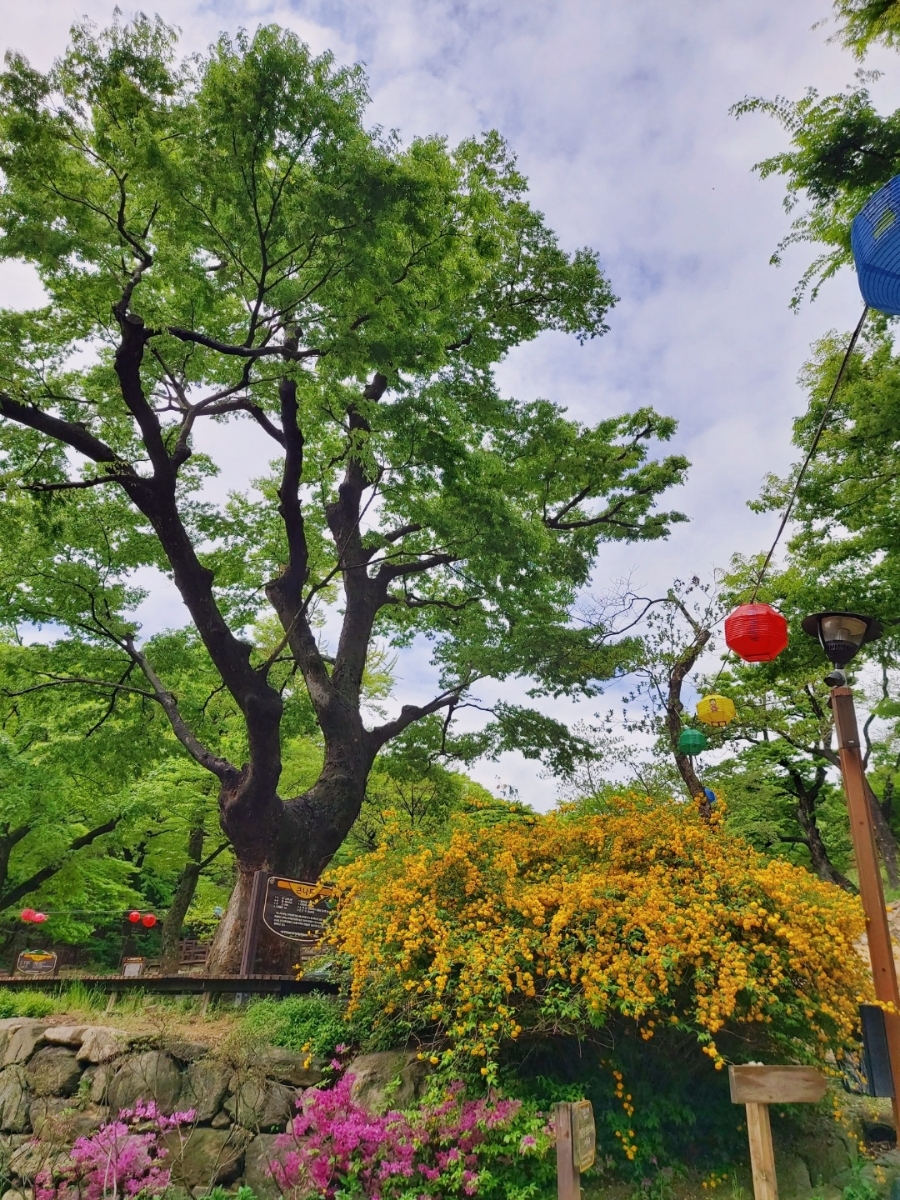 고려갈비 이미지
