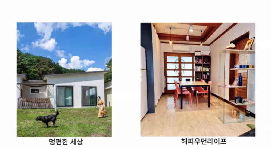 멍편한세상 이미지