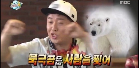 팔프로 이미지