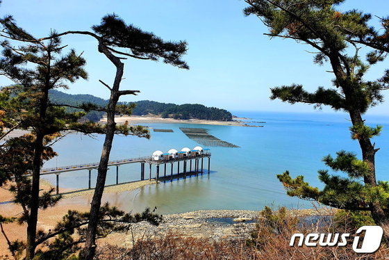 은빛파도 이미지
