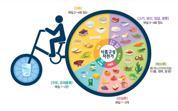 [영양소] 5대 영양소의 종류와 무기염류 주요기능과 결핍증상을 살펴보쟈 : 네이버 블로그