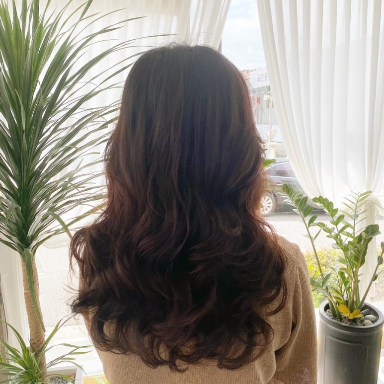 헤어살롱 다움 이미지