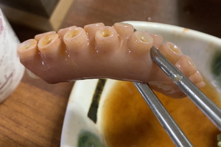 신낙지마당 이미지