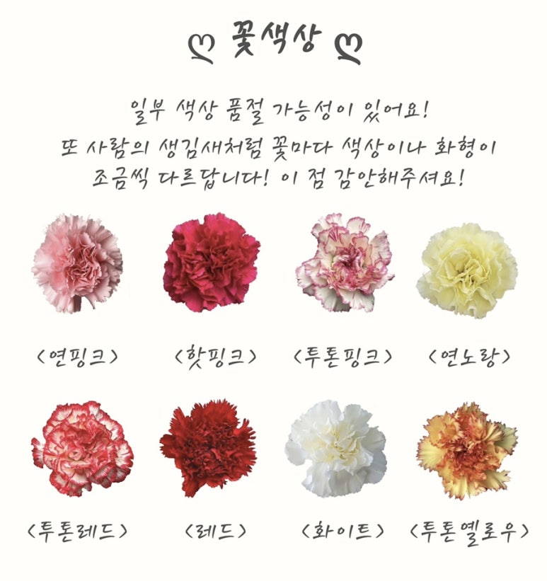 소소절절꽃이야기 이미지