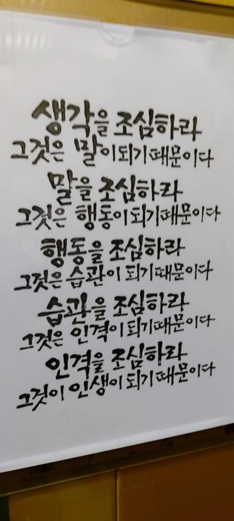 인스케어코어 이미지