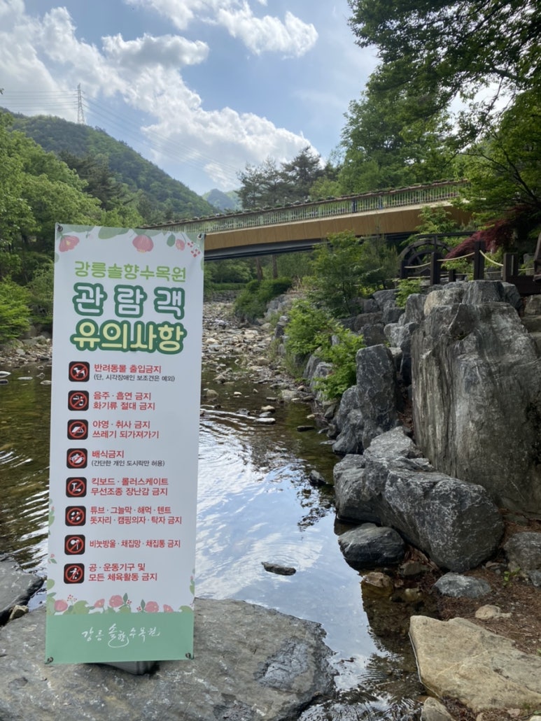 강릉솔향도시락 이미지