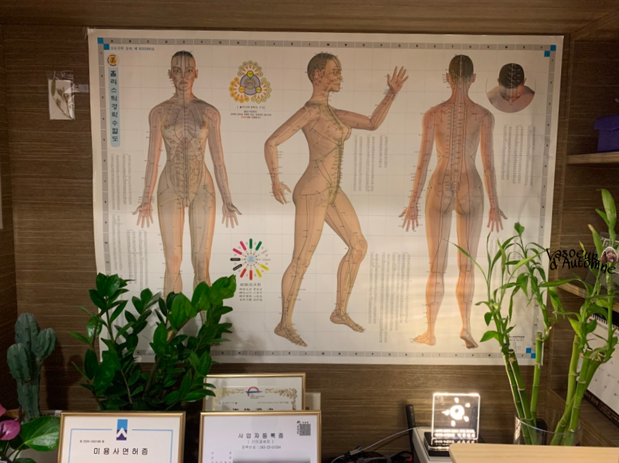 금손자연치유 이미지