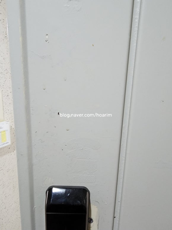 강필름 이미지