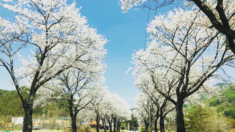 The 하루만 캠핑장 이미지