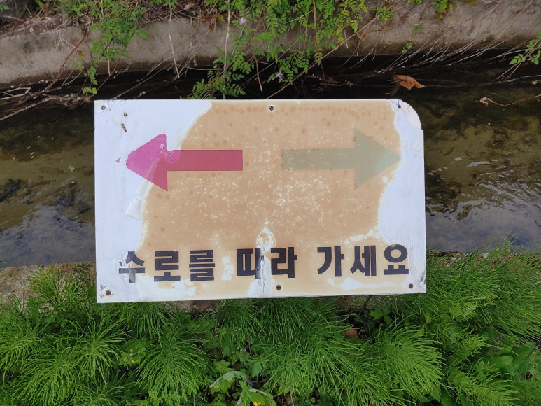 부린촌송어회 이미지