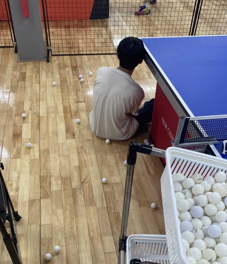 페스코 이미지