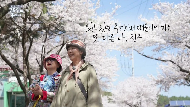 오손도손캠핑장 이미지