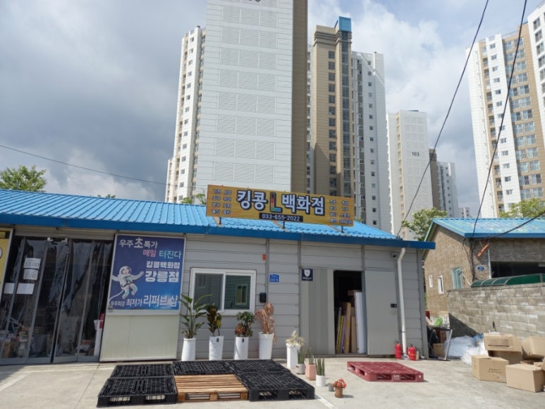 킹콩강릉점 이미지