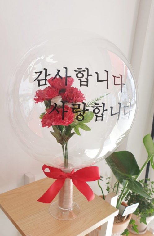 이든카 이미지