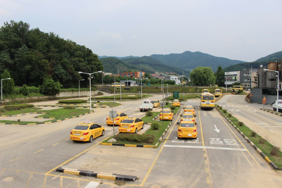 신촌자동차운전전문학원 이미지