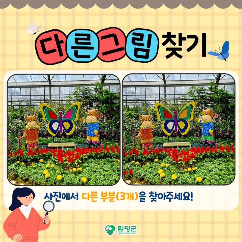 나비이벤트 이미지