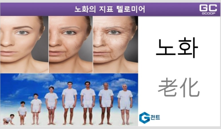 주식회사 제너럴라이프 이미지
