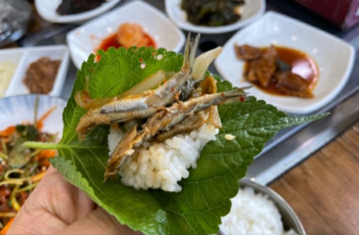 소나무정 이미지