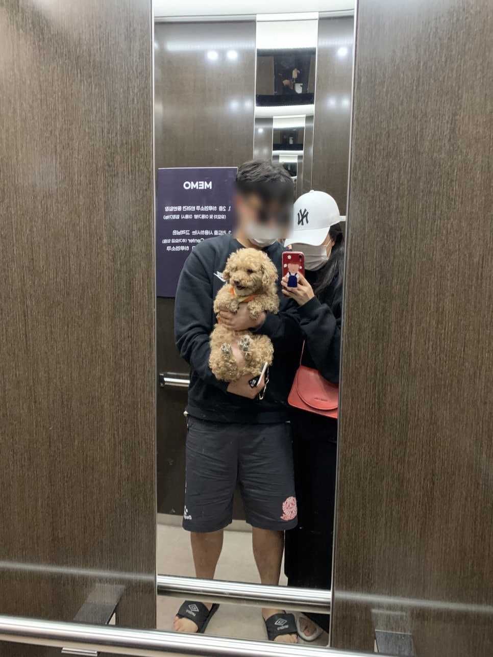 헤븐리파크2 이미지