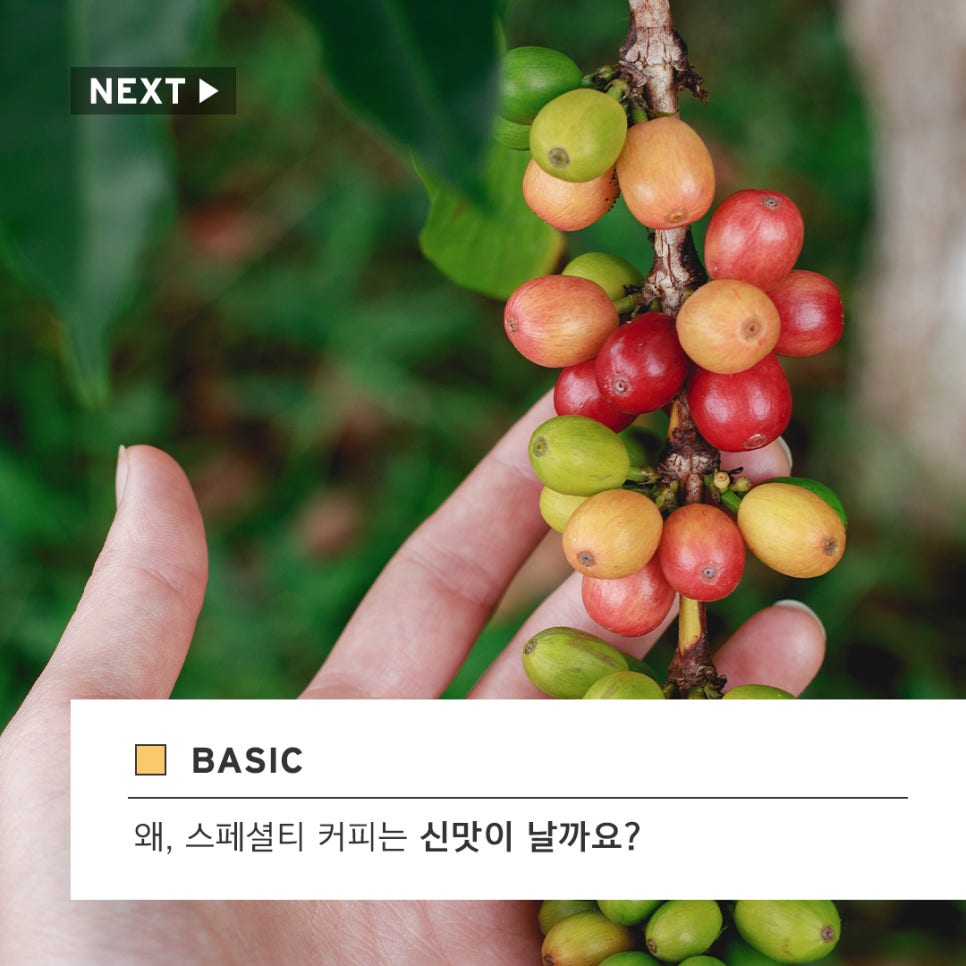 어떤커피 이미지