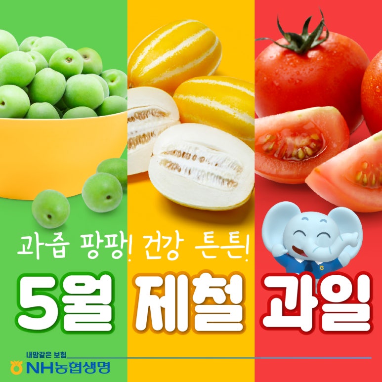 이맘때 과일 이미지
