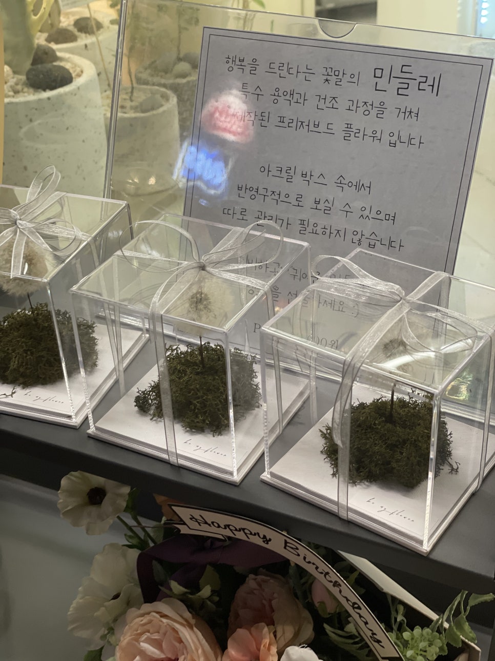 비마이플라워 이미지