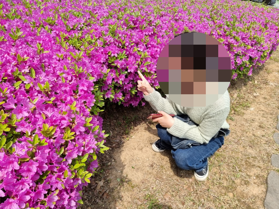 그냥해레코드 이미지