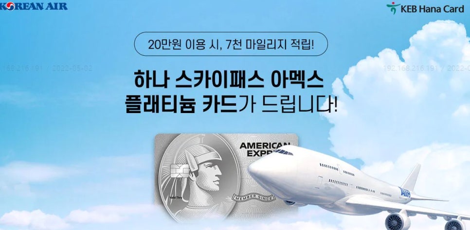스카이플래티늄항공 이미지