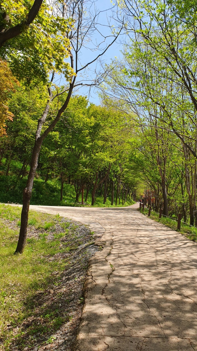 해오름 유아숲체험원 이미지