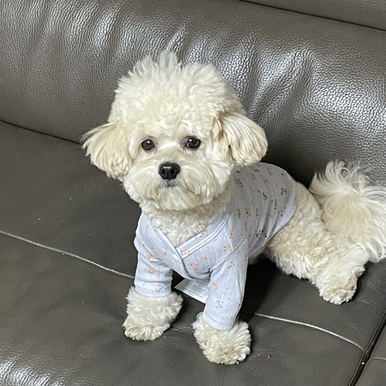 레스트오브 이미지