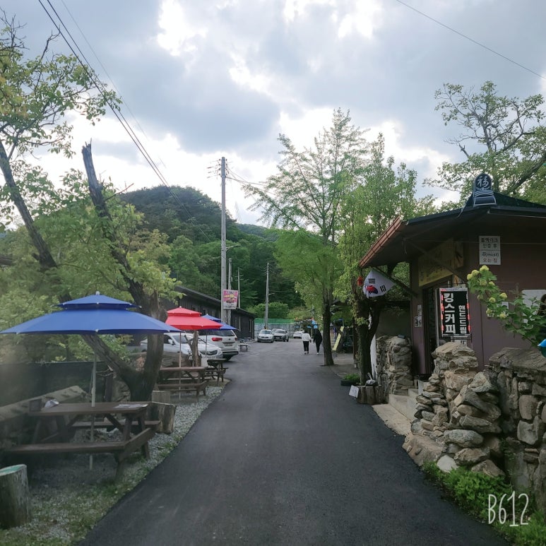 킹스핸드 이미지