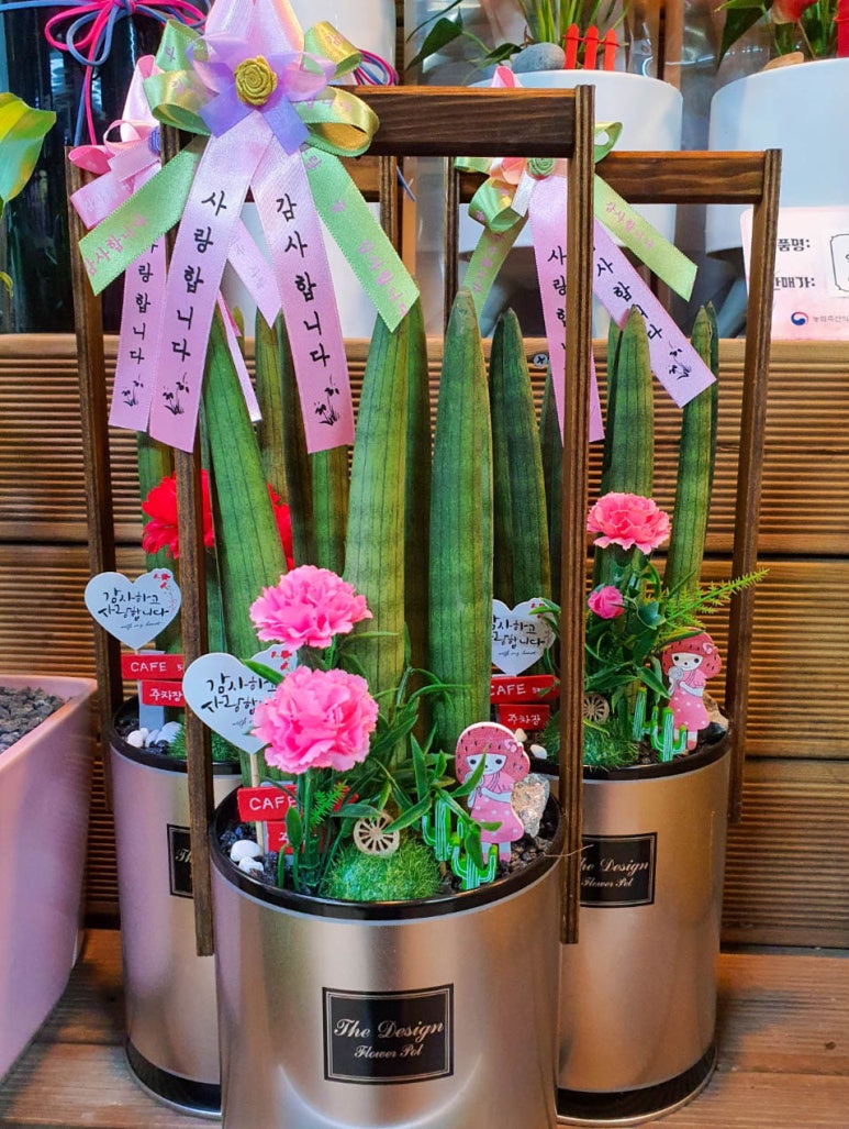 늘푸른화원 이미지