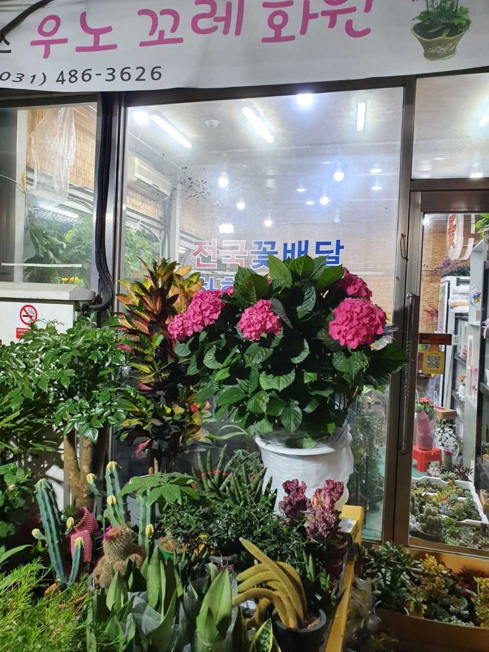 우노꼬레 이미지