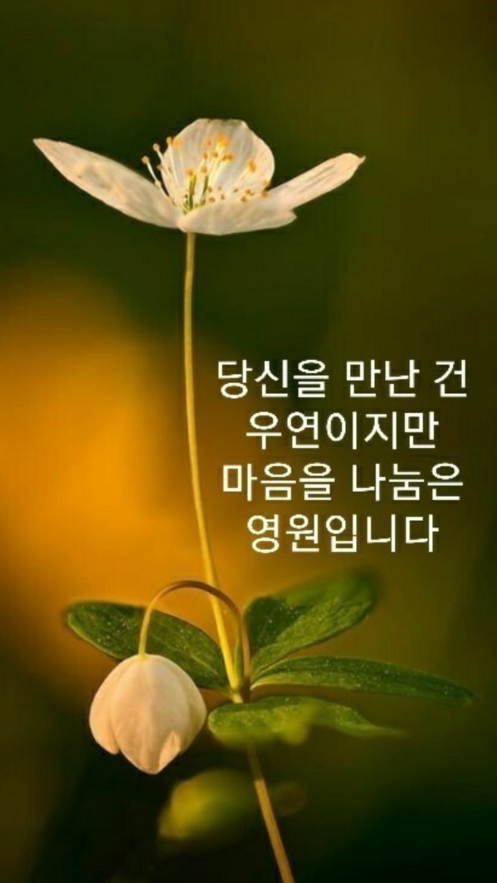 부엉이골 이미지