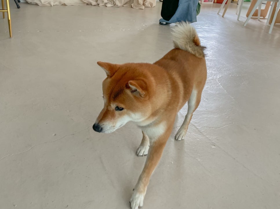 강산컴퍼니 이미지