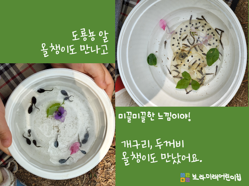미래숲어린이집 이미지