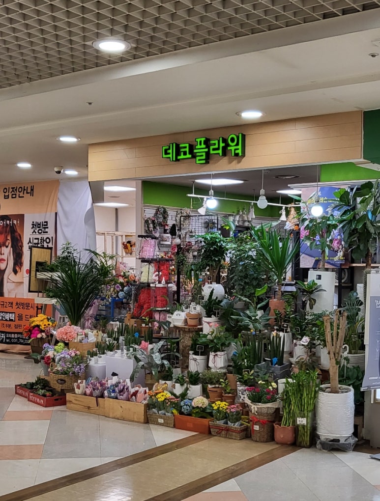 메이플라워데코 이미지