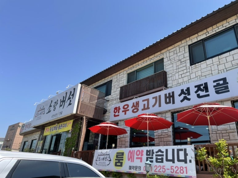 소랑버섯 이미지