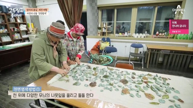 오손도손캠핑장 이미지