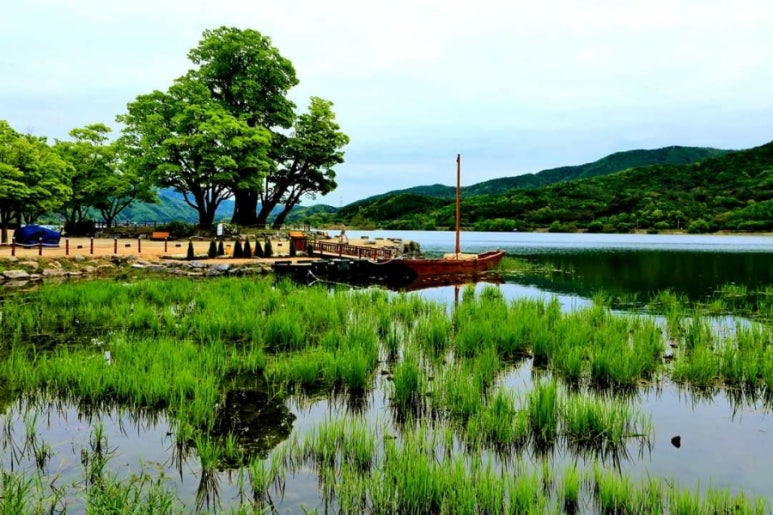 서로.화 이미지