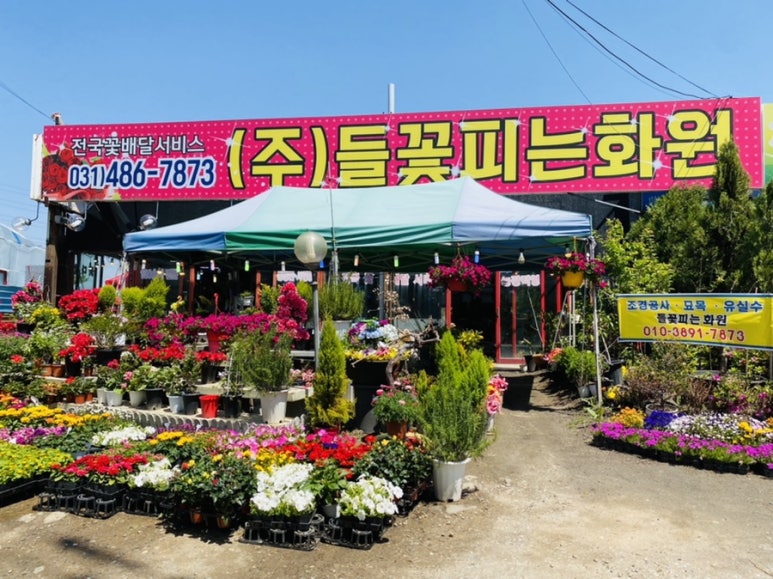 들꽃피는화원 이미지
