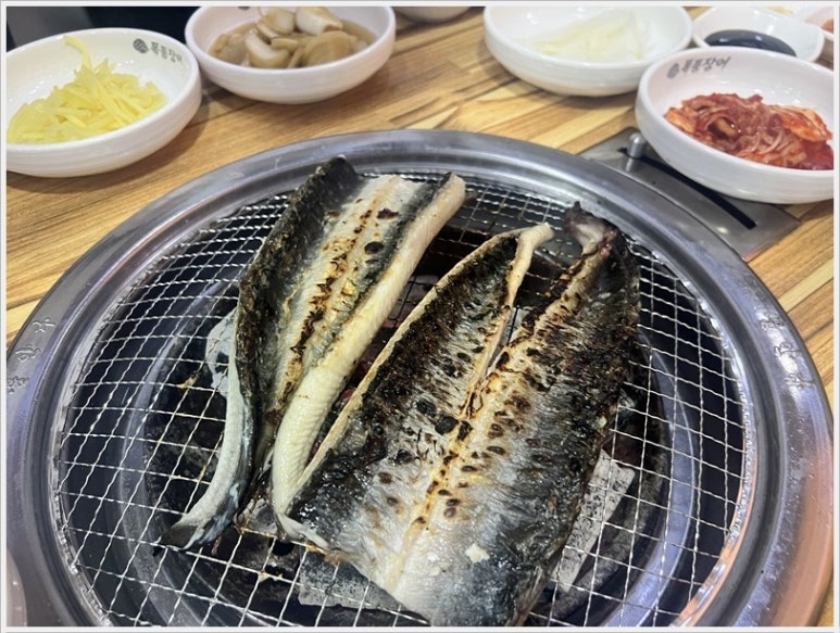 폭풍장어 이미지