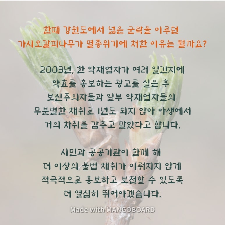 좋은나무사회적협동조합 이미지